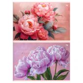 Альбом для рисования 24л., А4, на скрепке BG "Пионы" Альбом для рисования 24л., А4, на скрепке BG "Пионы"