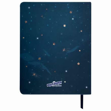 Дневник 1-11 класс 48 л., кожзам (твердая), печать, глиттер, ЮНЛАНДИЯ, "Space Avo", 106201