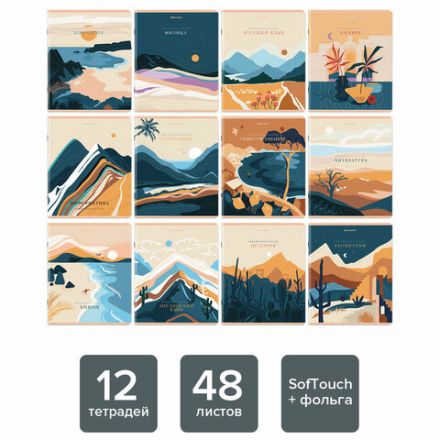 Тетради предметные, КОМПЛЕКТ 12 ПРЕДМЕТОВ, "ELEGANCE", 48 л., SoftTouch, фольга, BRAUBERG, 404611