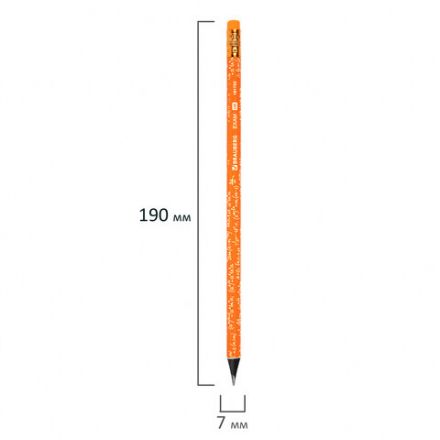 Карандаш чернографитный BRAUBERG "EXAM", 1 шт., HB, с ластиком, корпус ассорти, 181753 Карандаш чернографитный BRAUBERG "EXAM", 1 шт., HB, с ластиком, корпус ассорти, 181753
