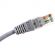 Патч-корд TWT TWT-45-45-2.0-GY UTP кат.5e, 2.0 м, серый