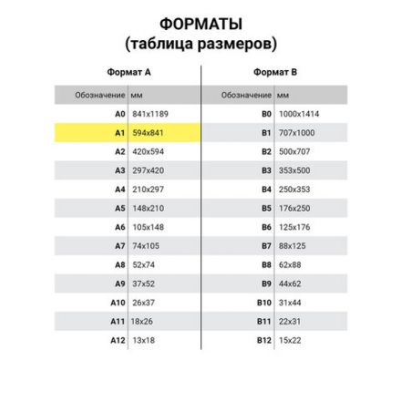 Ватман формат А1 (610х860 мм) ГОЗНАК С-Пб, плотность 200 г/м2, КОМПЛЕКТ 10 л., водяной знак, BRAUBERG, 880775 Ватман формат А1 (610х860 мм) ГОЗНАК С-Пб, плотность 200 г/м2, КОМПЛЕКТ 10 л., водяной знак, BRAUBERG, 880775