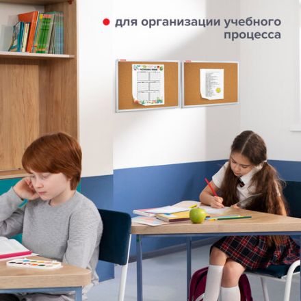 Доска пробковая для объявлений 45х60 см, алюминиевая рамка, ГАРАНТИЯ 10 ЛЕТ, РОССИЯ, BRAUBERG, 231711 Доска пробковая для объявлений 45х60 см, алюминиевая рамка, ГАРАНТИЯ 10 ЛЕТ, РОССИЯ, BRAUBERG, 231711