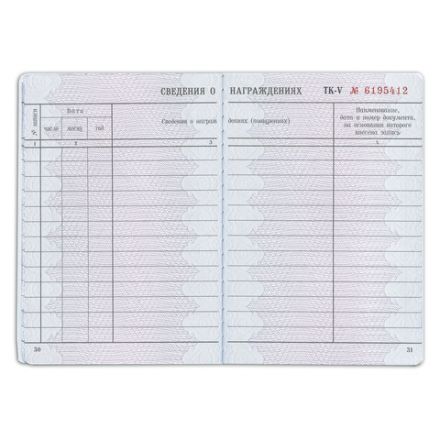 Бланк документа "Трудовая книжка", 88х125 мм, ГОЗНАК Бланк документа "Трудовая книжка", 88х125 мм, ГОЗНАК