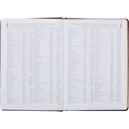 Ежедневник недатированный Attache Sidney Nebraska искусственная кожа А5 136 листов коричневый (золотистый обрез, 145x205 мм) Ежедневник недатированный Attache Sidney Nebraska искусственная кожа А5 136 листов коричневый (золотистый обрез, 145x205 мм)