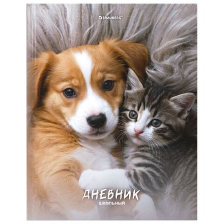 Дневник 5-11 класс 48 л., твердый, BRAUBERG, глянцевая ламинация, с подсказом, "МИКС", 107612 Дневник 5-11 класс 48 л., твердый, BRAUBERG, глянцевая ламинация, с подсказом, "МИКС", 107612