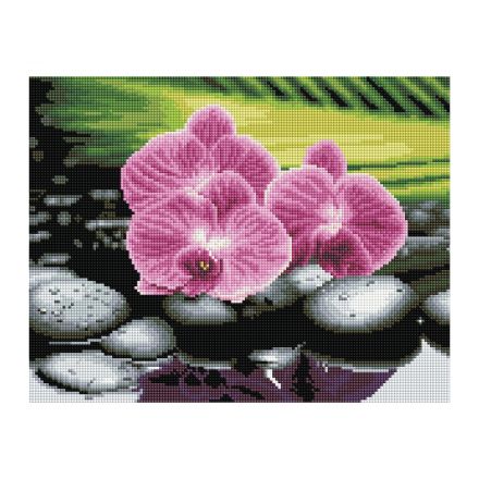 Алмазная мозаика ТРИ СОВЫ "Орхидеи на камнях", 30*40см, холст, картонная коробка с пластиковой ручкой Алмазная мозаика ТРИ СОВЫ "Орхидеи на камнях", 30*40см, холст, картонная коробка с пластиковой ручкой