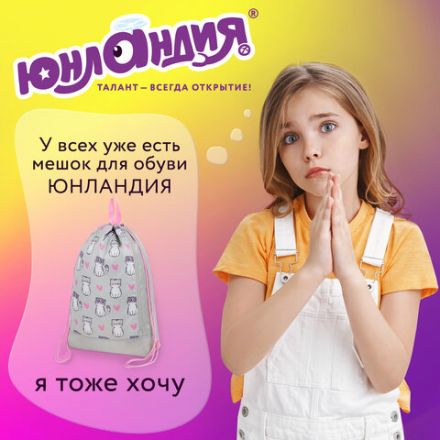 Мешок для обуви ЮНЛАНДИЯ с ручками, боковой карман на молнии, 46х36 см, "Kitties", 272407 Мешок для обуви ЮНЛАНДИЯ с ручками, боковой карман на молнии, 46х36 см, "Kitties", 272407