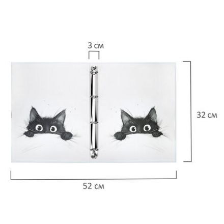 Папка-портфолио универсальная, 4 кольца, 20 файлов, 7БЦ матовая, BRAUBERG "Cat", 107557, 117557
