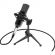 Микрофон Ritmix RDM-160 Black