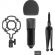 Микрофон Ritmix RDM-160 Black