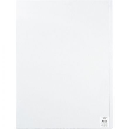 Файл-вкладыш Attache А2 180 мкм прозрачный гладкий 50 штук в упаковке Файл-вкладыш Attache А2 180 мкм прозрачный гладкий 50 штук в упаковке