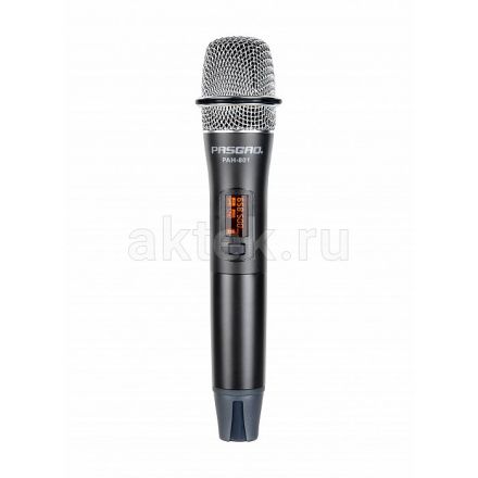 Радиосистема Pasgao PAW-920/2x PAH-801 Радиосистема Pasgao PAW-920/2x PAH-801
