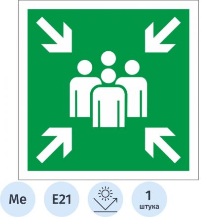 Знак безопасности Е21 Пункт (место) сбора, 300x300 мм, с/в, металл 0,5 мм Знак безопасности Е21 Пункт (место) сбора, 300x300 мм, с/в, металл 0,5 мм