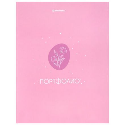 Папка-портфолио универсальная, 4 кольца, 20 файлов, 7БЦ матовая, BRAUBERG, "Gentle", 117558