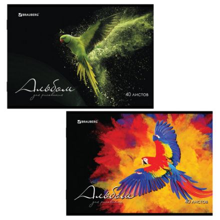 Альбом для рисования А4, 40 л., скоба, обложка картон, BRAUBERG, 205х290 мм, "Полёт" (2 вида), 106707 Альбом для рисования А4, 40 л., скоба, обложка картон, BRAUBERG, 205х290 мм, "Полёт" (2 вида), 106707