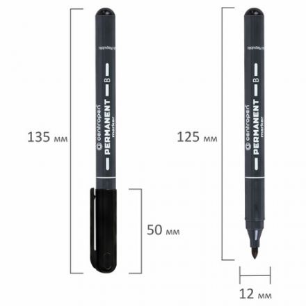 Маркер перманентный CENTROPEN 2836, ЧЕРНЫЙ, круглый наконечник, 2 мм, 6 2836 0012 Маркер перманентный CENTROPEN 2836, ЧЕРНЫЙ, круглый наконечник, 2 мм, 6 2836 0012