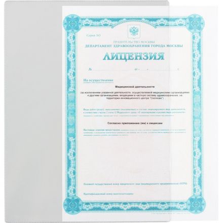 Файл-вкладыш для документов и свидетельств А4 305x222(ДПС) Файл-вкладыш для документов и свидетельств А4 305x222(ДПС)