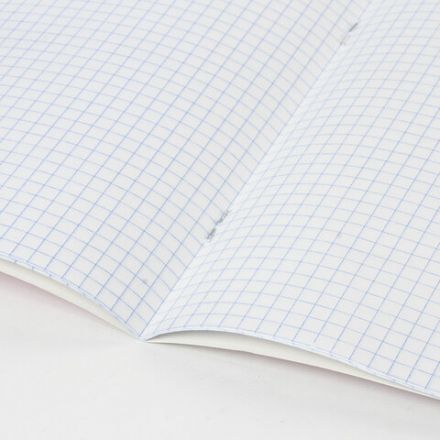 Тетрадь BRAUBERG "EXTRA" 24 л., клетка, плотная бумага 80 г/м2, обложка картон, 105710