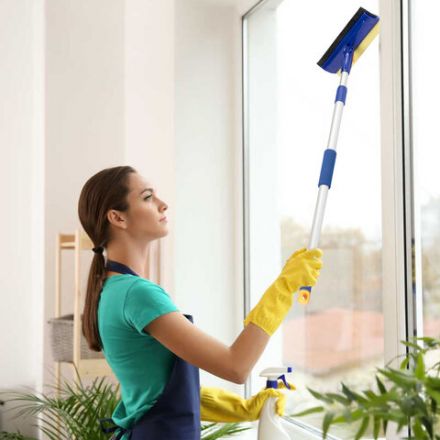 Окномойка LAIMA вращающаяся, телескопическая ручка, рабочая часть 25 см (стяжка, губка, ручка), для дома и офиса, 601494 Окномойка LAIMA вращающаяся, телескопическая ручка, рабочая часть 25 см (стяжка, губка, ручка), для дома и офиса, 601494