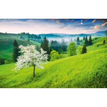 Календарь настенный 3-х блочный 2026 Attache, 190х465 мини, природа, 80г