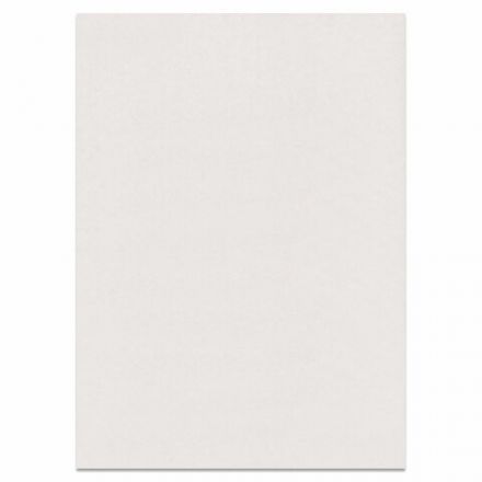 Картон белый БОЛЬШОГО ФОРМАТА, А2 МЕЛОВАННЫЙ (глянцевый), 10 листов, в папке, BRAUBERG, 400х590 мм, 124764 Картон белый БОЛЬШОГО ФОРМАТА, А2 МЕЛОВАННЫЙ (глянцевый), 10 листов, в папке, BRAUBERG, 400х590 мм, 124764