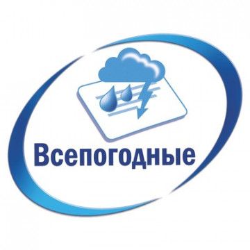 Этикетки самоклеящиеся Avery Zweckform из серебристой пленки 96*50.8 мм (10 штук на листе, 20 листов, артикул производителя L6012-20)