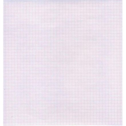 Лента регист. тепл. для ЭКГ 210х30х12 (в.) BIOSET 8000 (К210АК12), 2рул/уп