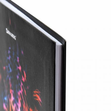 Дневник 5-11 класс 48 л., гибкая обложка, BRAUBERG, глянцевая ламинация, с подсказом, "Гепард", 106862