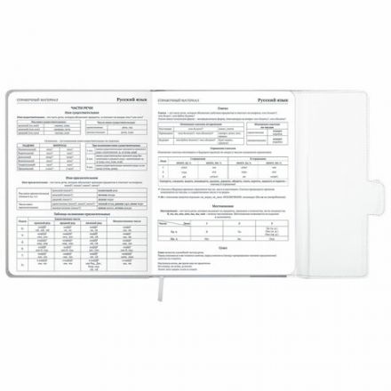 Дневник 1-11 класс 48 л., кожзам (твердая), магнитный клапан, ЮНЛАНДИЯ, "Goal", 106929