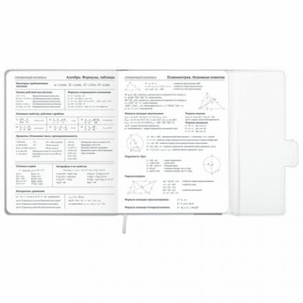 Дневник 1-11 класс 48 л., кожзам (твердая), магнитный клапан, ЮНЛАНДИЯ, "Goal", 106929