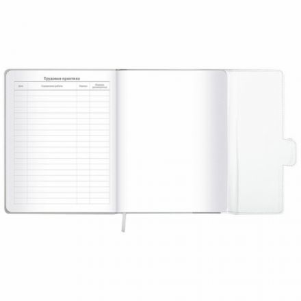 Дневник 1-11 класс 48 л., кожзам (твердая), магнитный клапан, ЮНЛАНДИЯ, "Goal", 106929