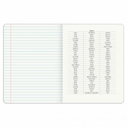 Тетрадь предметная DOG БОБИК 48 л., TWIN-лак, РУССКИЙ ЯЗЫК, линия, подсказ, BRAUBERG, 404791