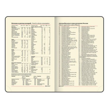 Ежедневник недатированный МАЛЫЙ 100х150 мм А6 BRAUBERG "Metropolis Mix", под кожу, 136 л., мятный, 113308 Ежедневник недатированный МАЛЫЙ 100х150 мм А6 BRAUBERG "Metropolis Mix", под кожу, 136 л., мятный, 113308