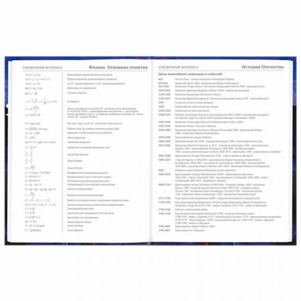 Дневник 5-11 класс 48 л., твердый, BRAUBERG, глянцевая ламинация, с подсказом, "DELIGHT", 106864