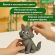Пластилин классический BRAUBERG KIDS, 12 цветов, 240 г, ВЫСШЕЕ КАЧЕСТВО, 105873