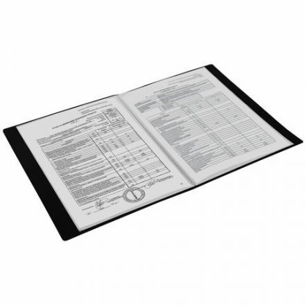 Папка 10 вкладышей BRAUBERG "Office", черная, 0,5 мм, 271321 Папка 10 вкладышей BRAUBERG "Office", черная, 0,5 мм, 271321