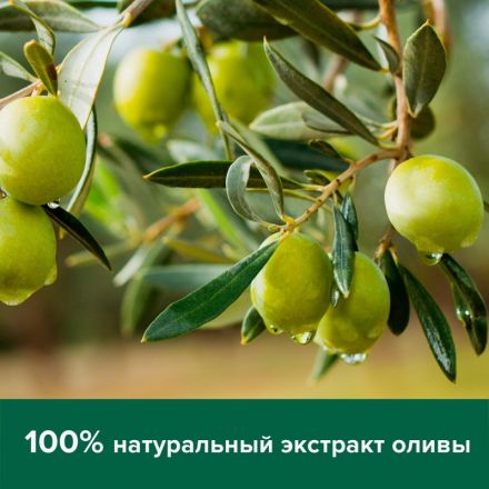 Мыло жидкое Palmolive Натурэль Интенсивное увлажнение запас. блок, 650мл Мыло жидкое Palmolive Натурэль Интенсивное увлажнение запас. блок, 650мл