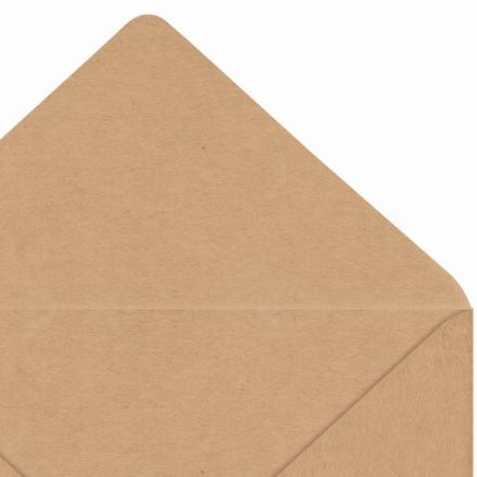 Конверты С3 (330х410 мм) КРАФТ, без клея, 90 г/м2, КОМПЛЕКТ 300 шт., треугольный клапан, 142755 Конверты С3 (330х410 мм) КРАФТ, без клея, 90 г/м2, КОМПЛЕКТ 300 шт., треугольный клапан, 142755