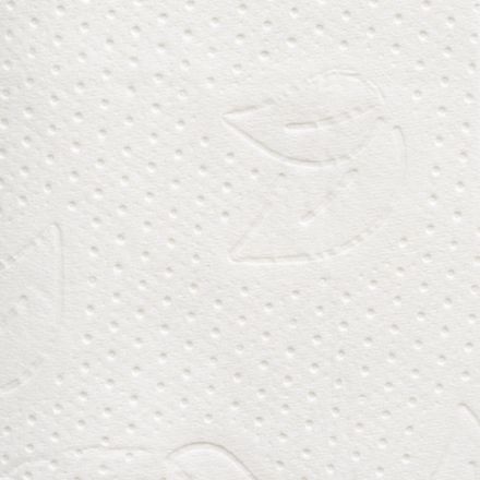 Бумага туалетная д/дисп Protissue 2сл 250лист 40 пачек в уп С249