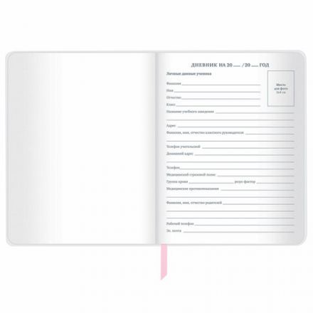 Дневник 1-11 класс 48 л., кожзам (твердая), магнитный клапан, ЮНЛАНДИЯ, "Панда", 106563