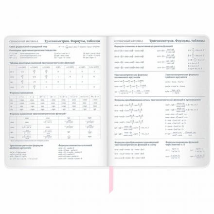 Дневник 1-11 класс 48 л., кожзам (твердая), магнитный клапан, ЮНЛАНДИЯ, "Панда", 106563