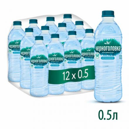 Вода негазированная питьевая ЧЕРНОГОЛОВКА, 0,5 л Вода негазированная питьевая ЧЕРНОГОЛОВКА, 0,5 л