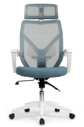 Кресло Оливер RCH W-203AC Белый пластик/Синий