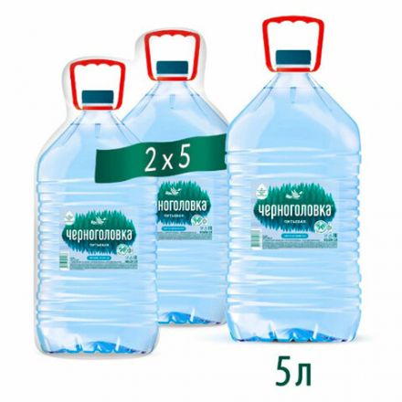Вода негазированная питьевая ЧЕРНОГОЛОВКА, 5 л Вода негазированная питьевая ЧЕРНОГОЛОВКА, 5 л