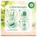 Сменный баллон 250 мл, AIRWICK Freshmatic "Тропические фантазии и спелый манго", 3318878