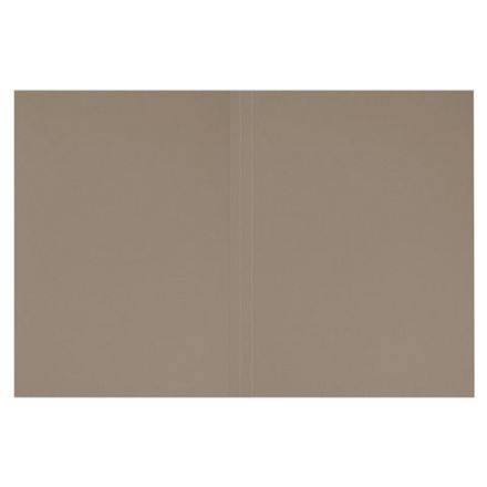 Папка без скоросшивателя "Дело", картон, плотность 320 г/м2, до 200 листов, ОФИСМАГ, 127818