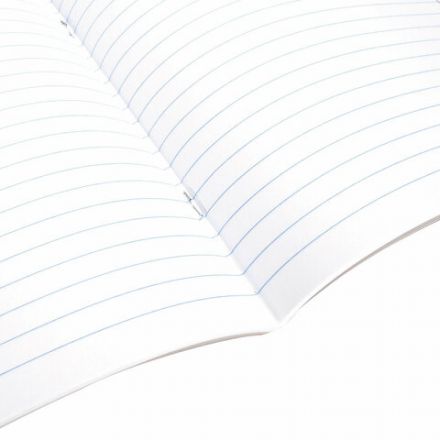 Тетрадь 12 л. ЮНЛАНДИЯ, линия, обложка картон, "КАКТУСИКИ", 106474