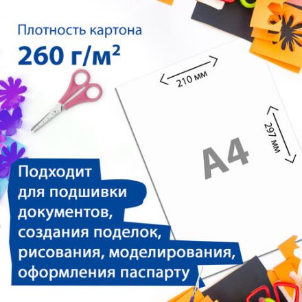 Картон для подшивки документов А4, немелованный, 100 листов, 260 г/м2, BRAUBERG, 210х297 мм, 124877 Картон для подшивки документов А4, немелованный, 100 листов, 260 г/м2, BRAUBERG, 210х297 мм, 124877