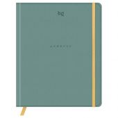 Дневник 1-11 кл. 48л. (твердый) BG "Monocolor. Green", иск. кожа, тиснение, цветн. срез, ляссе, на резинке